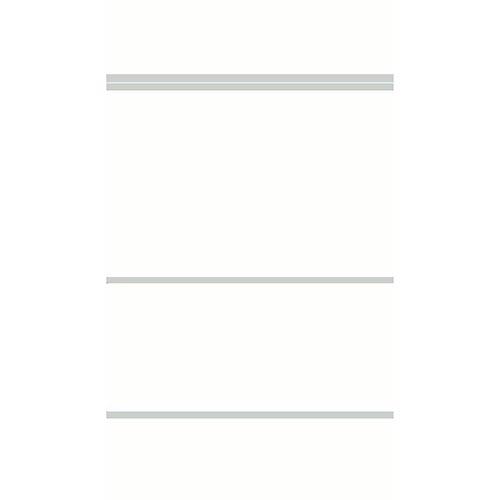 Photo de Dos de classeur neutres - 65x290mm - Gris