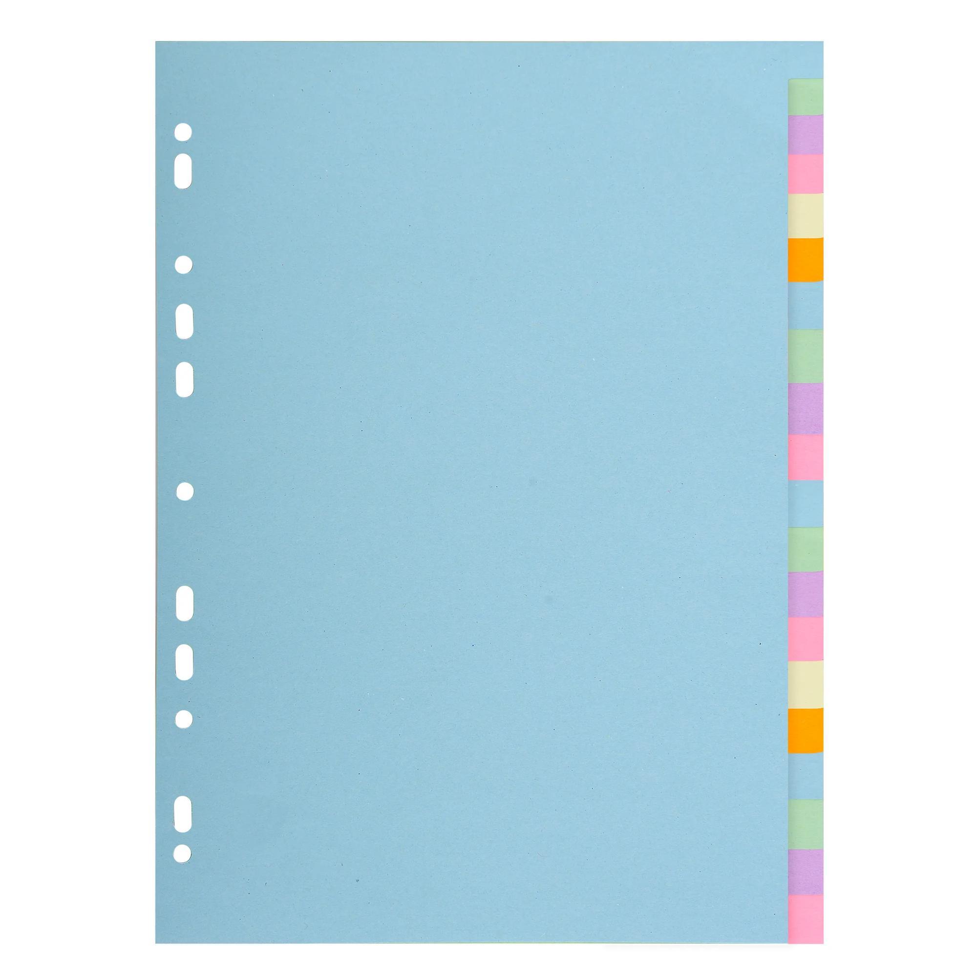 Photo de Intercalaire carton 170 grs  - 20 touches - Exacompta 2620E